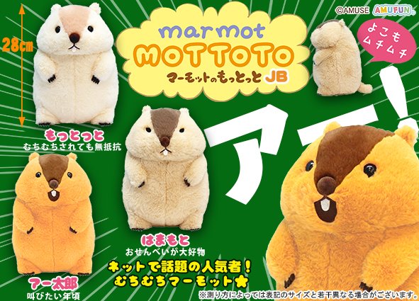 【三毛 ページ】もっとっと 2点 マーモットのはまもとが発売されるのは夢じゃなかったようだ！