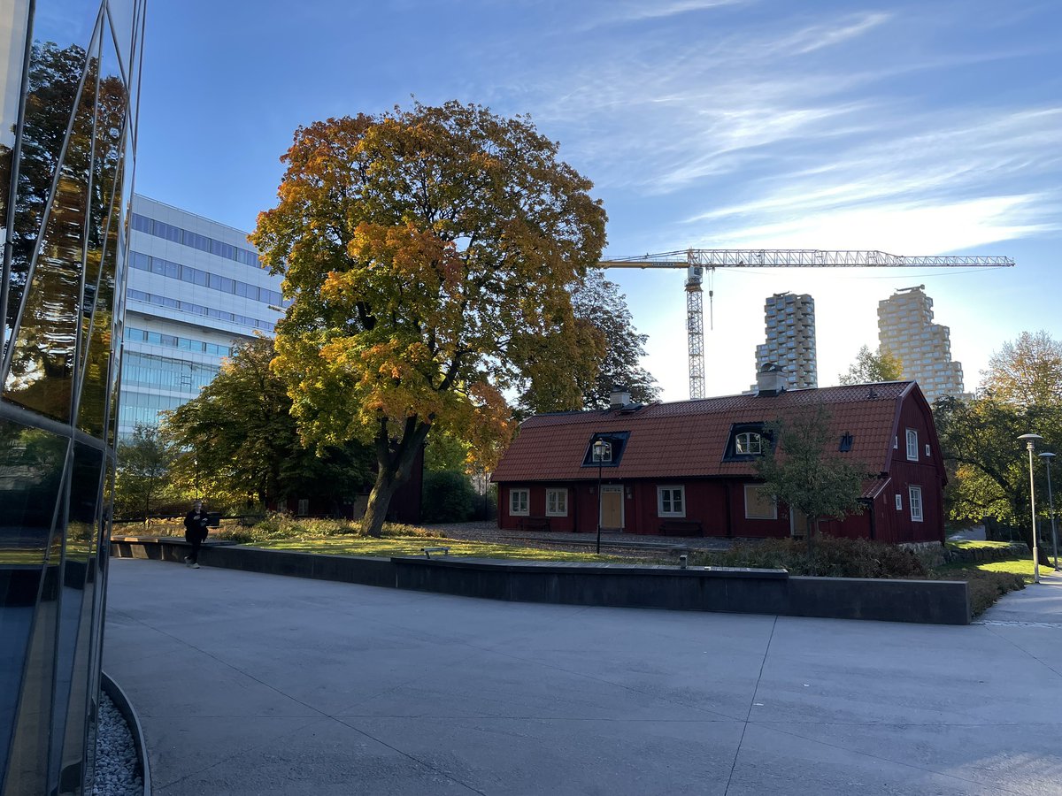 Abigail Mackey tweet media