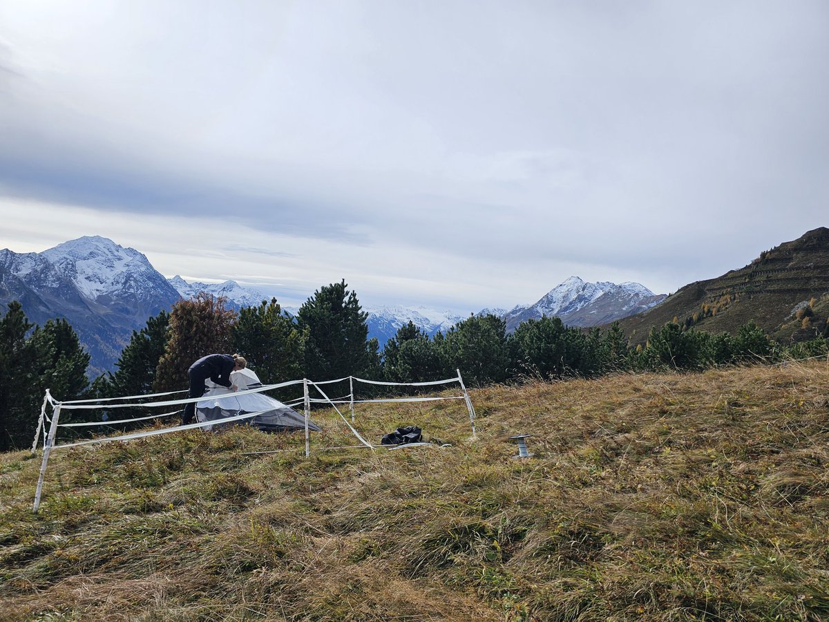 sandra schallhart tweet media