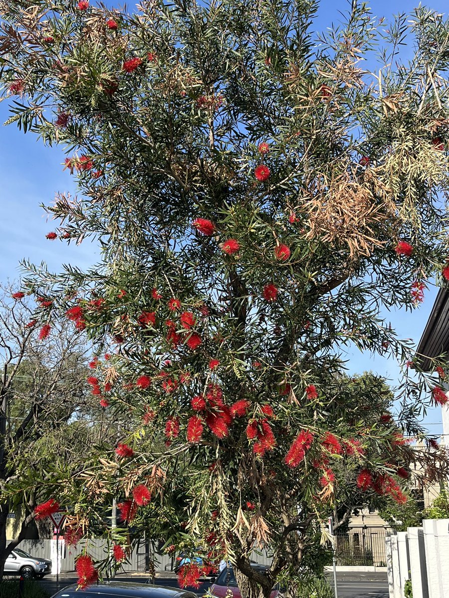 Mike Kennedy tweet media