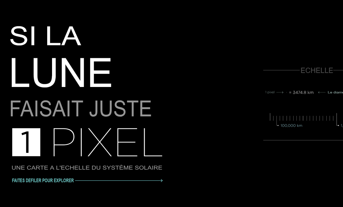 Le chien critique tweet media