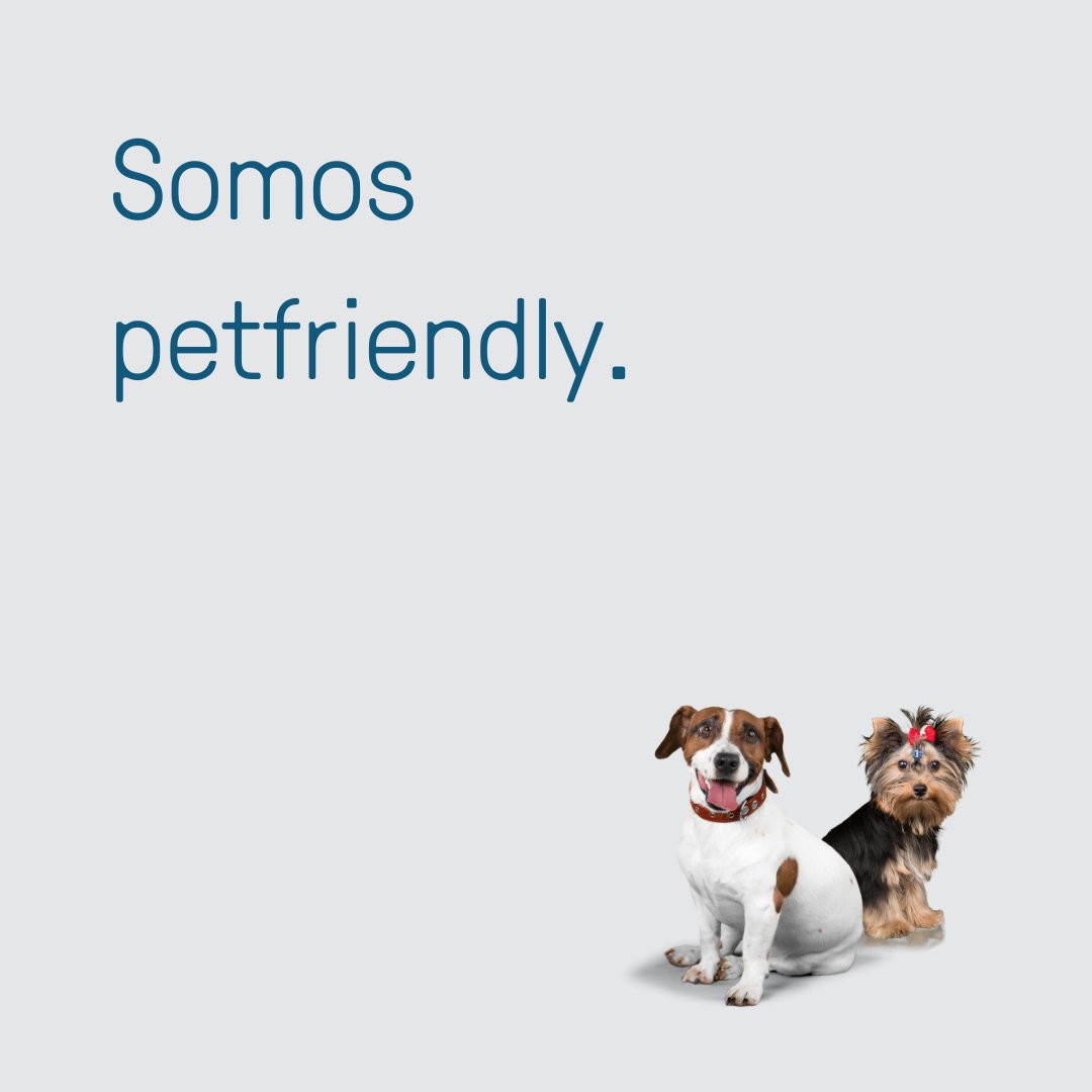 🐾 ¡En Aparthotel Campus, tu mascota es más que bienvenida! Ven a disfrutar de Oviedo sin tener que dejar a tu compañero de cuatro patas en casa. Aquí tenemos todo listo para hacer su estancia tan cómoda como la tuya.
¡¡Os esperamos!!
aparthotelcampus.es