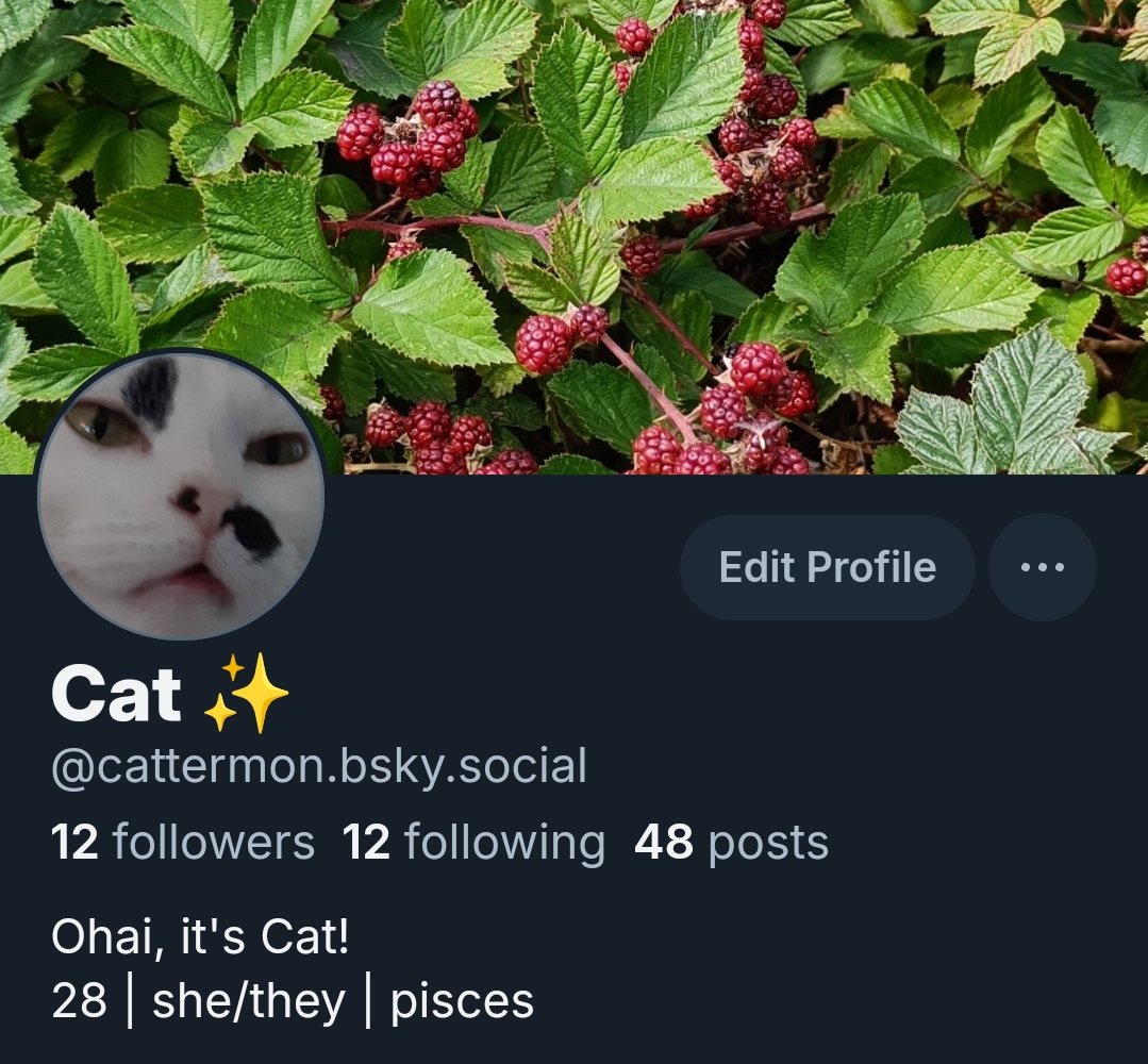 Cat @ 🔜 FACTS ✨ tweet media