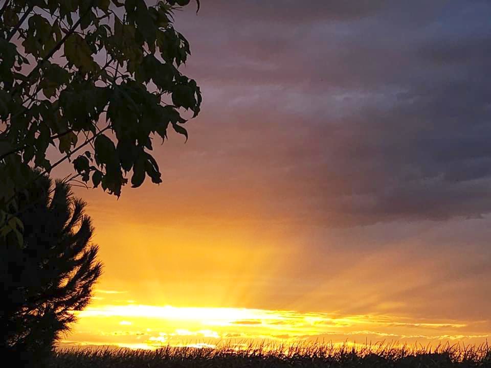 ClemCaro06's tweet image. Encore une journée placée en #VigilanceOrange  alors redoublons de prudence 🧡 #PluieInondation #EpisodeCévenol 🌧️