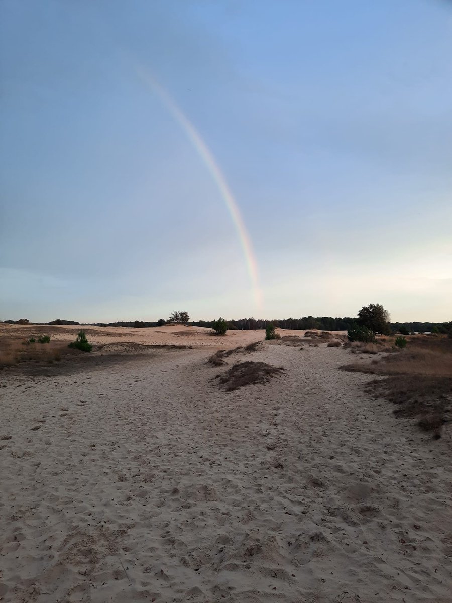 Melindebus's tweet photo. Traktatie tijdens mijn wandeling gisteravond 
#waarisdiepotmetgoud https://t.co/7VSANVJNt6