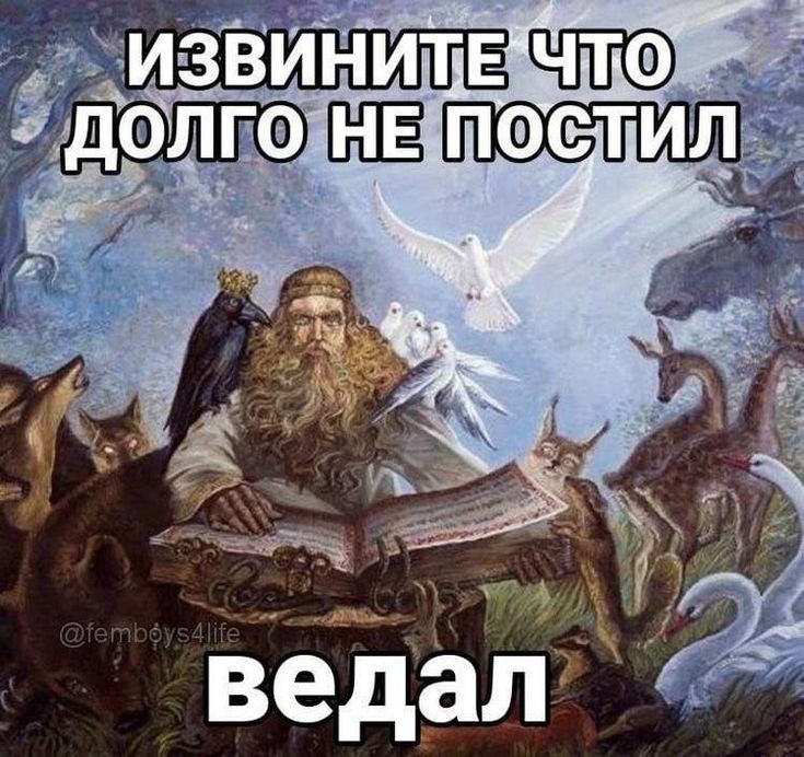 brokeslish's tweet photo. https://t.co/qx33nt5zZT