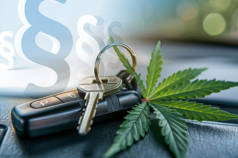 Was bedeutet die Erhöhung des THC-Grenzwerts im Blutserum für Drogenvortests? Unser neuester Newsletter liefert die Antworten: securetec.net/de/thc-grenzwe…