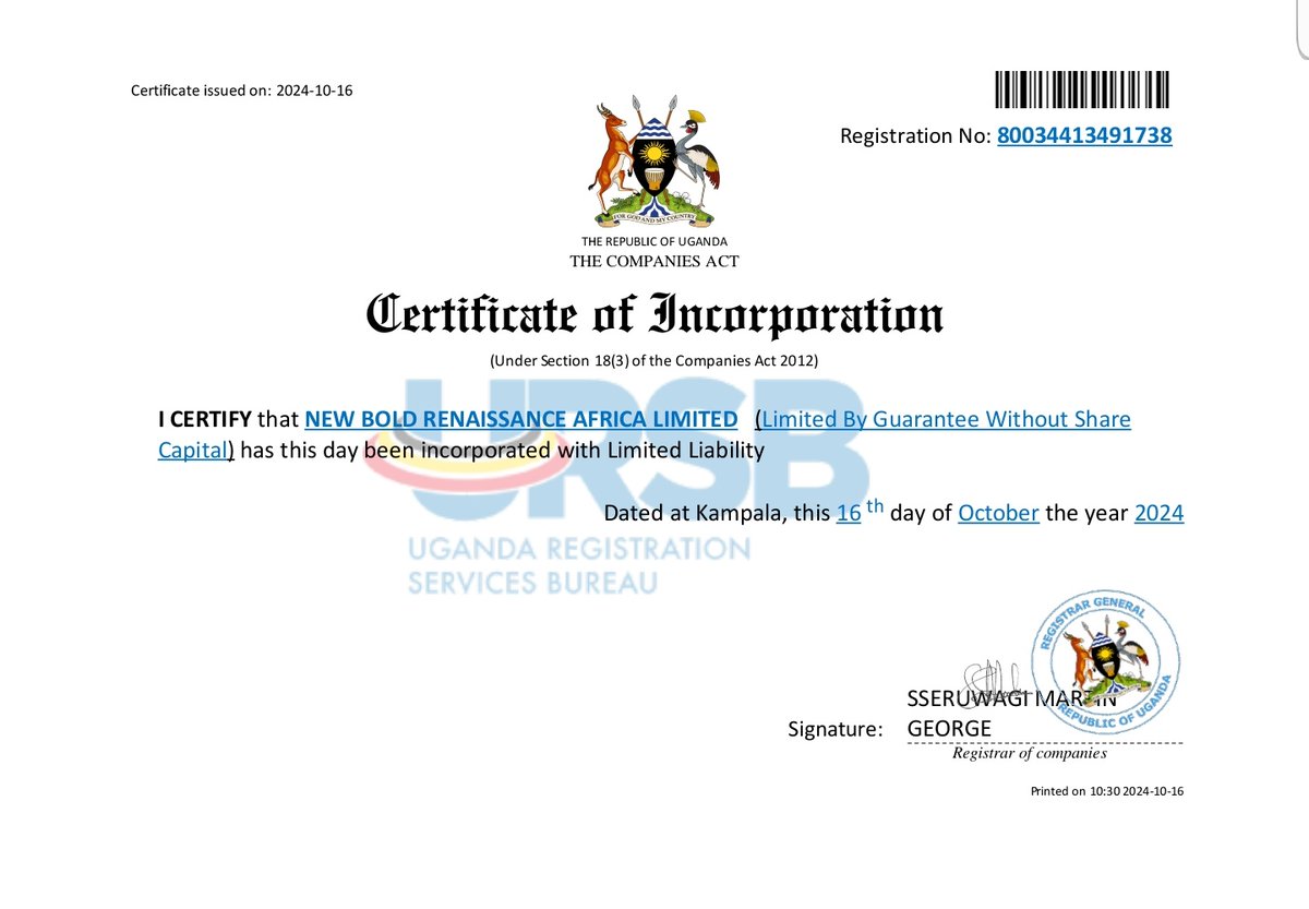 A New BOLD Vision tweet media