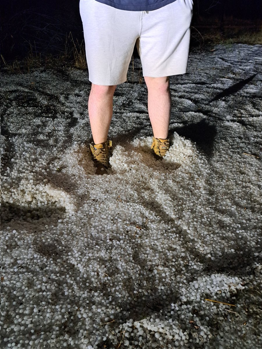 growgoodgrain tweet media