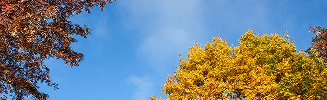 Ajankohtaista asiaa maahanmuutosta ja kotoutumisesta ELY-keskuksen kotoutumistyön uutiskirjeessä ▶️ ely-pop.viestitys.fi/messages/view/…
#maahanmuutto #kotoutuminen <a href="/KainuunELY/">Kainuun ELY-keskus</a>