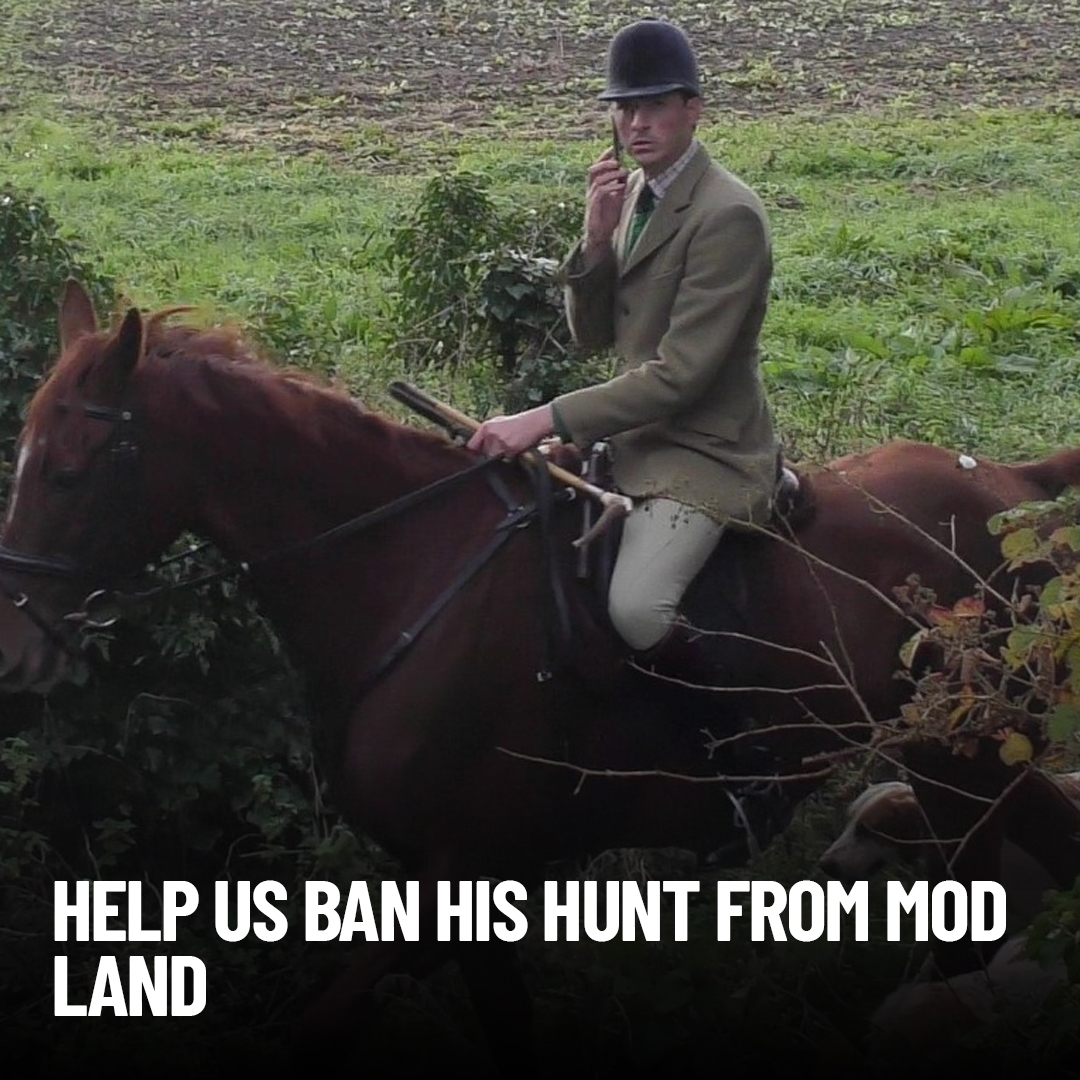 ProtectTheWild_'s tweet photo. This is Charles Carter, he thinks he is untouchable and can hunt foxes where he pleases. The MoD are currently deciding whether to BAN all hunts from their land for good.

Take action now 👇https://t.co/qFbydtsHh8 https://t.co/gia8LOwOLt