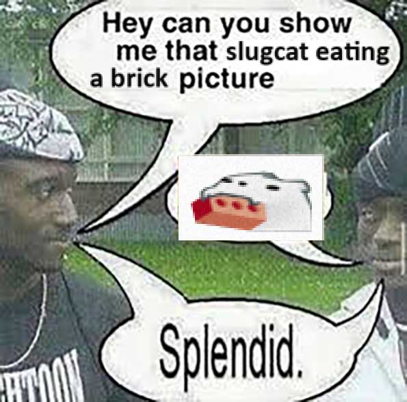 xinxaxstarbird.bsky.social (@xinxaxstarbird) on Twitter photo 