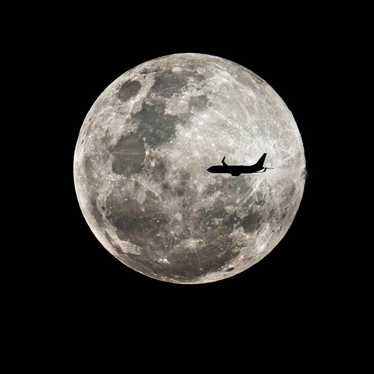 Michael Frost (@michaelfrost6) on Twitter photo There’s a supermoon over Sydney tonight. Incredible!
Photo taken not far from my home by <a href="/ShoreShotPhotos/">ShoreShotPhotography</a> There’s a supermoon over Sydney tonight. Incredible!
Photo taken not far from my home by <a href="/ShoreShotPhotos/">ShoreShotPhotography</a>