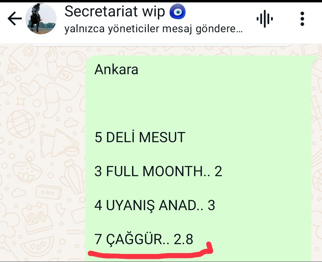 Ankara 

4. Koşu ne bitti il 3? 

👌👌👌