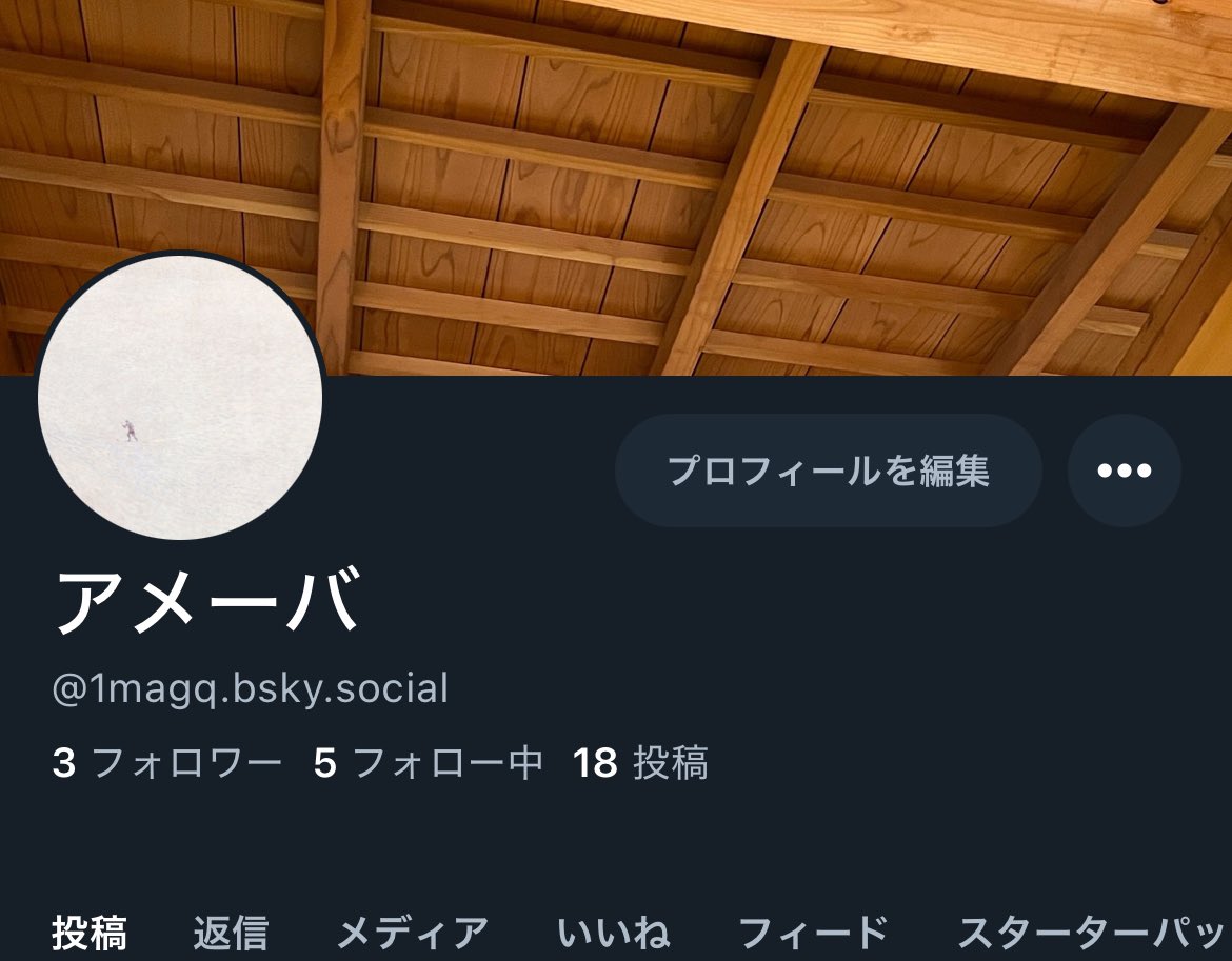 石ころろ (@1maGq) / Posts / X