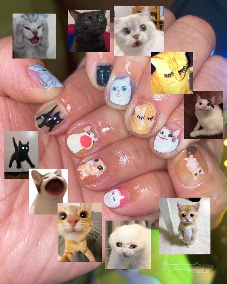 No Cats No Life tweet media