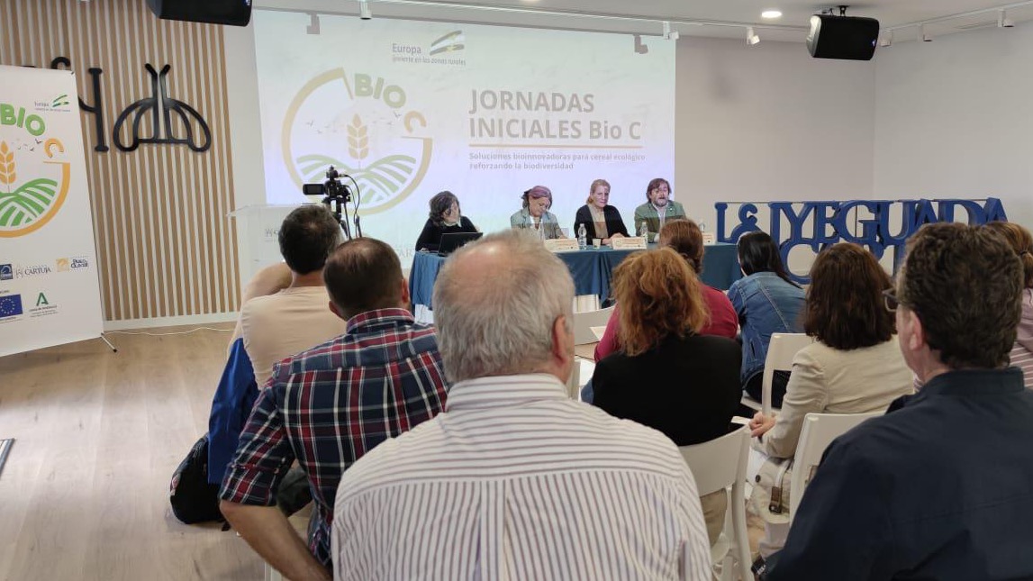 Ecovalia's tweet photo. Hoy se celebró en Jerez de la Frontera, la Jornada Inicial del Grupo Operativo BIO C, centrada en soluciones innovadoras para el cultivo de cereal ecológico.🌾 Se destacaron prácticas sostenibles que promueven biodiversidad y captación de carbono. #CerealEcológico #BIOC https://t.co/dSEOIieA0f