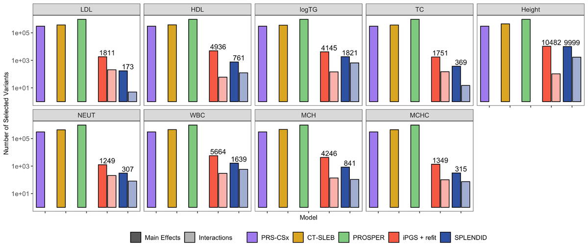 Using training data from All of Us and validation in UK Biobank, SPLENDID outperforms existing methods, particularly in non-European ancestry, selects fewer variants, remains robust to ancestry proportions in tuning, and can be used with only training data.