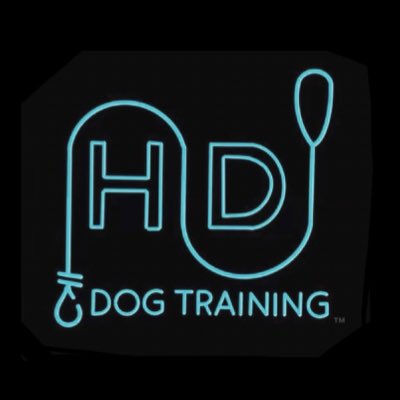HDDogTraining tweet picture