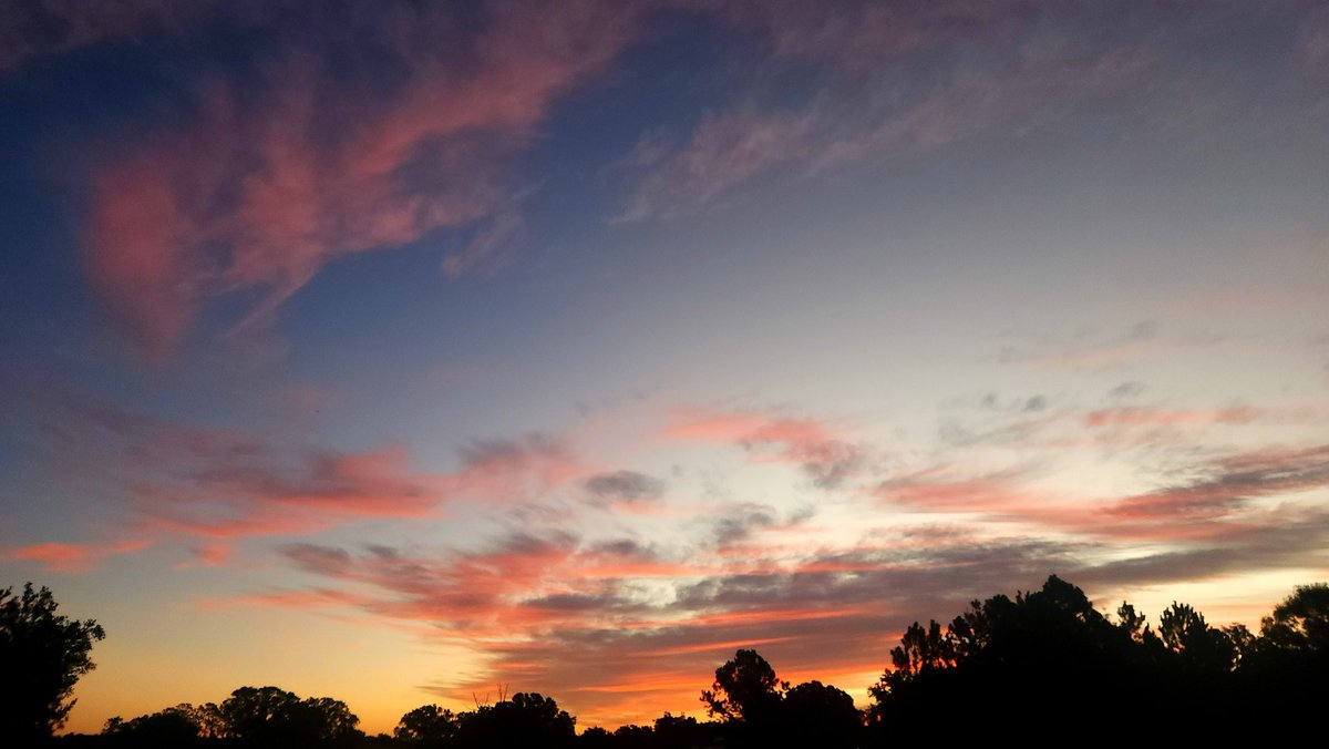 SDWAuthor's tweet photo. Good morning, Jesus.
October 17, 2024, Day 291
to the only God our Savior be glory, majesty, dominion, and authority through Jesus Christ our Lord before all time, and now, and for all eternity. Amen Jude1:25BSB
#goodmorning #goodmorninglord #floridasunrise #sunrise #bibleverse https://t.co/GecwEpLw8F