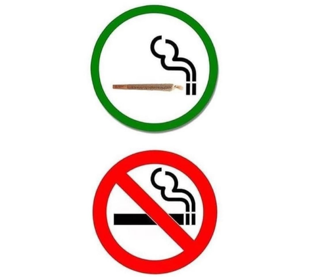 SPACECANNABIS's tweet photo. Minha casa minhas regras https://t.co/MeiDN9WEkf