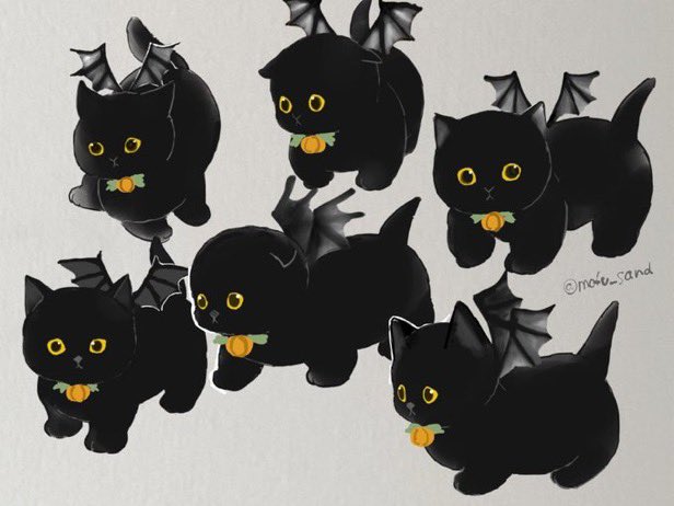 ぢゅの🐈 tweet media