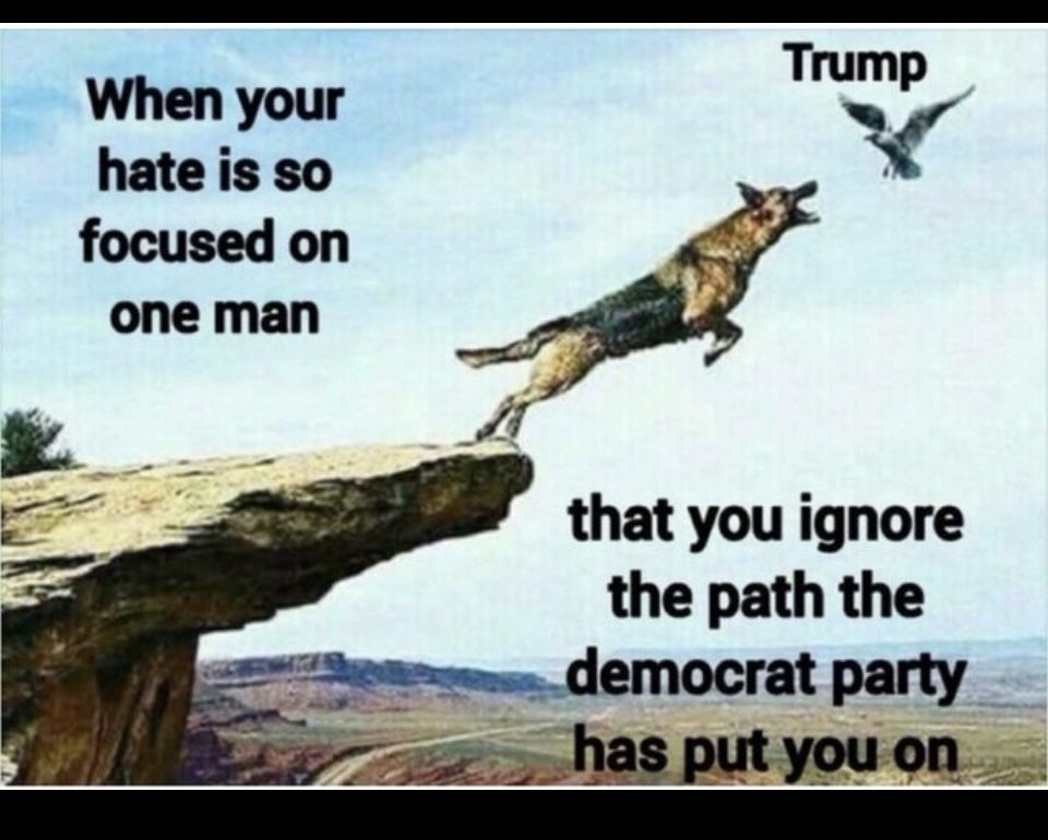 MjAmerica45's tweet image. #FoxInterview #CrashandBurnHarris 
#VoteTrumpToSaveAmerica 🇺🇸🇺🇸🇺🇸🇺🇸🇺🇸🇺🇸🇺🇸