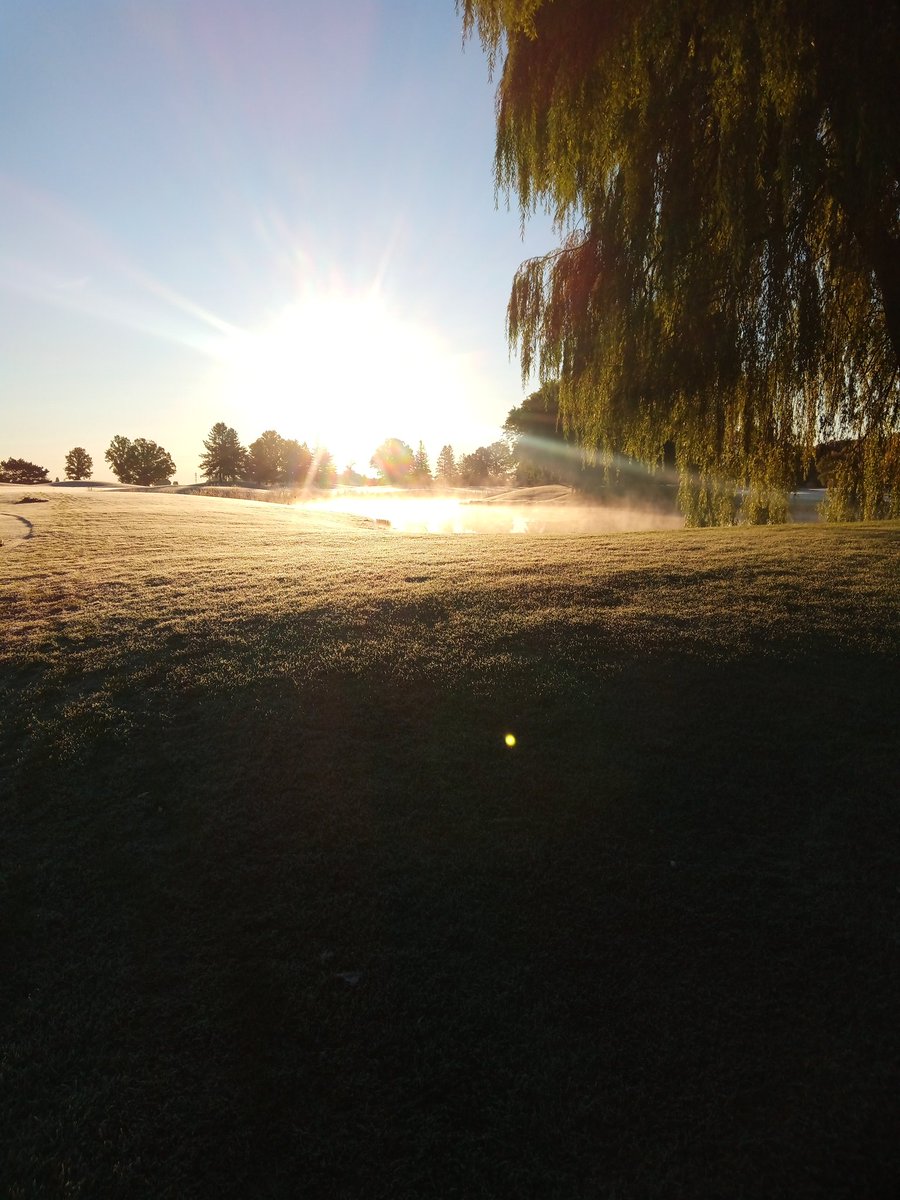 Peak Irrigation and Landscape Lighting tweet media