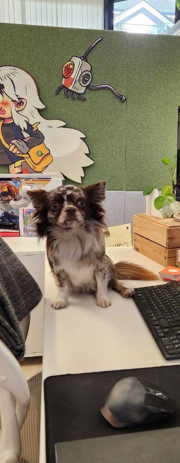 Chucklefish tweet media