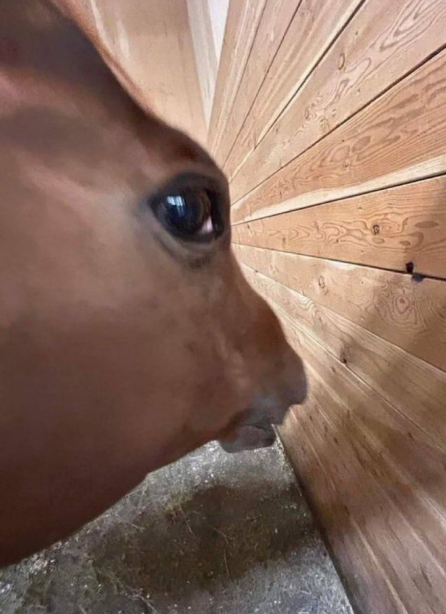 Felix 'InterVR' Krell tweet media