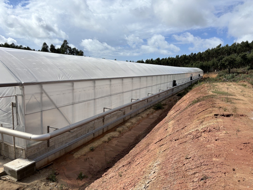 mecsegales's tweet photo. ¿Habías visto un túnel de secado de purines en acción? Funciona como un invernadero, alcanzando hasta 80°C con radiación solar. Una máquina mueve el purín (previamente acidificado para conservar el nitrógeno en fracción sólida) y secar el resto. https://t.co/jTGQsDqErG