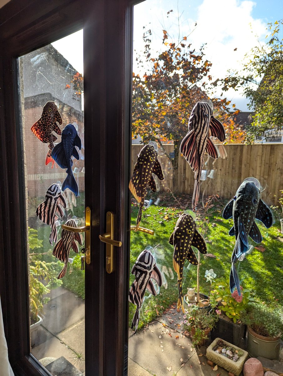 palaeoplushies's tweet photo. They're available on my website https://t.co/5hSGRjGbUY! https://t.co/I9JchruBA7