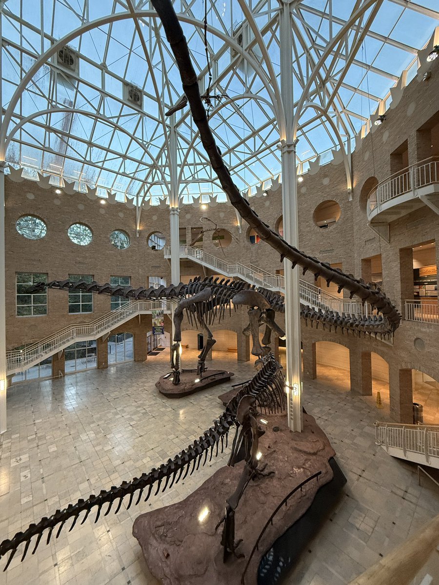 PeteTiliakos's tweet photo. What an office view! #payroll and dinosaurs in the big peach 🍑! @APA_ATL #GAPayCon https://t.co/6IkCMbaVUq