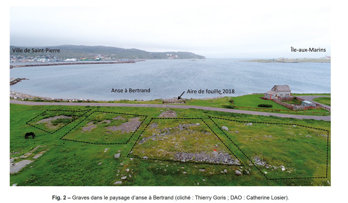 Société préhistorique française tweet media