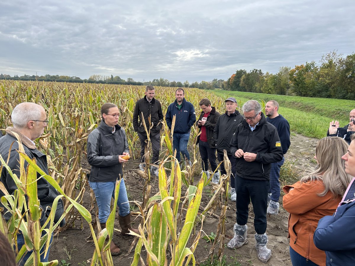Drought year, good year and now wet year! How do you breed new varieties to perform with ever increasing weather extremes, customer visit to Limagrain breeding site, Angers France ⁦<a href="/LGSeedsUK/">LGSeedsUK</a>⁩ ⁦<a href="/Limagrain/">Limagrain</a>⁩