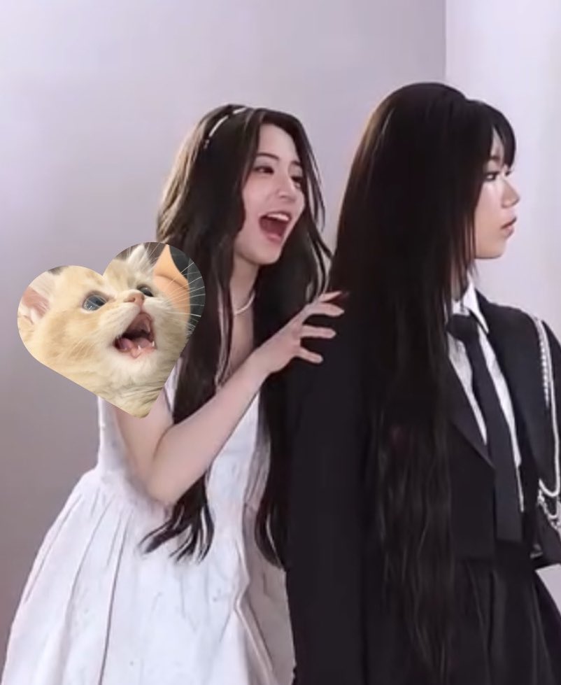 frostyqiao's tweet photo. นี่มานลูกหมาโดนลูกแมวจิ๋วขู่ฟ่อนินา 🐶🐱🫳🏻 https://t.co/GzZHpTp9x2