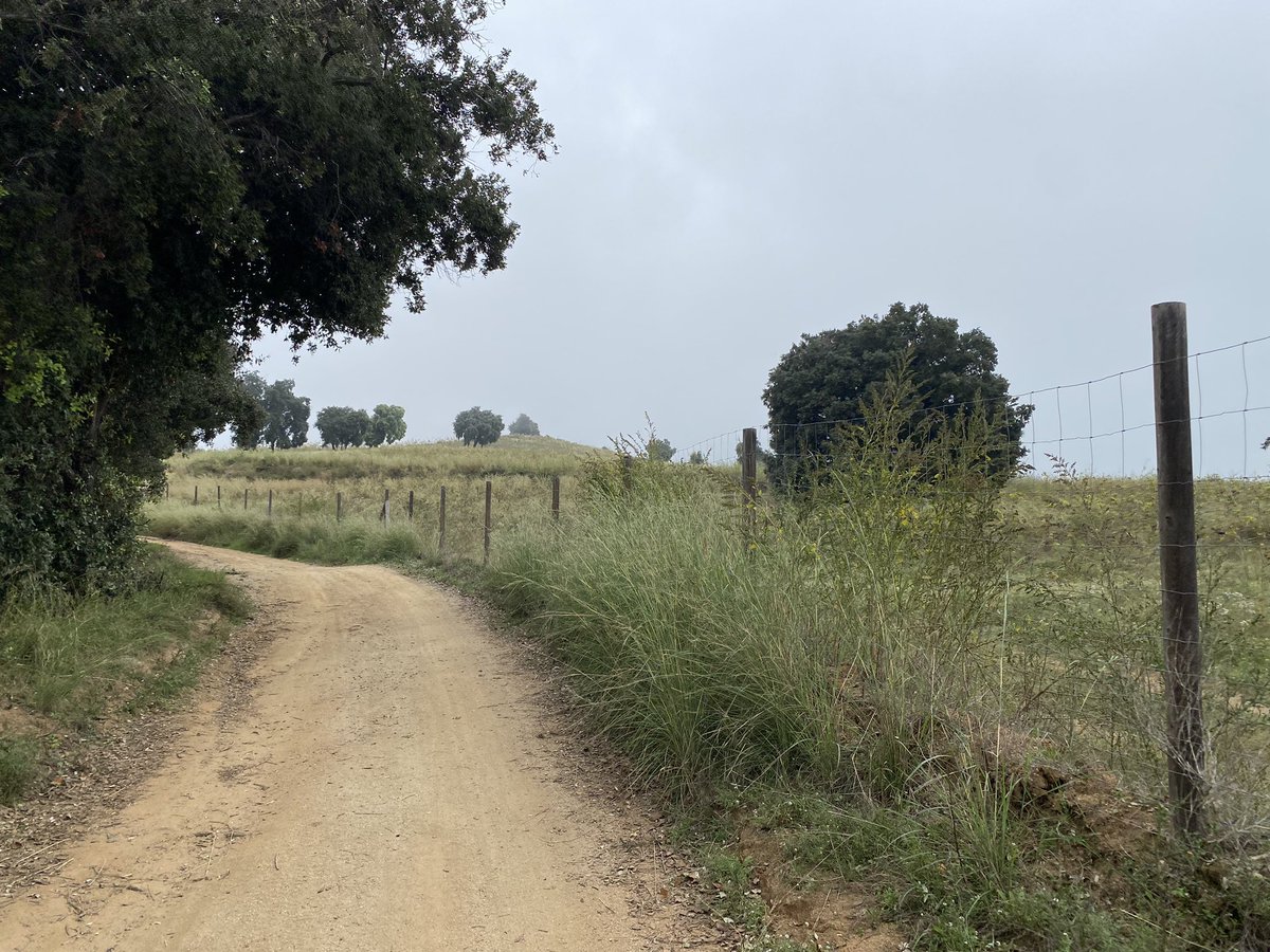 Pere Alzina tweet media