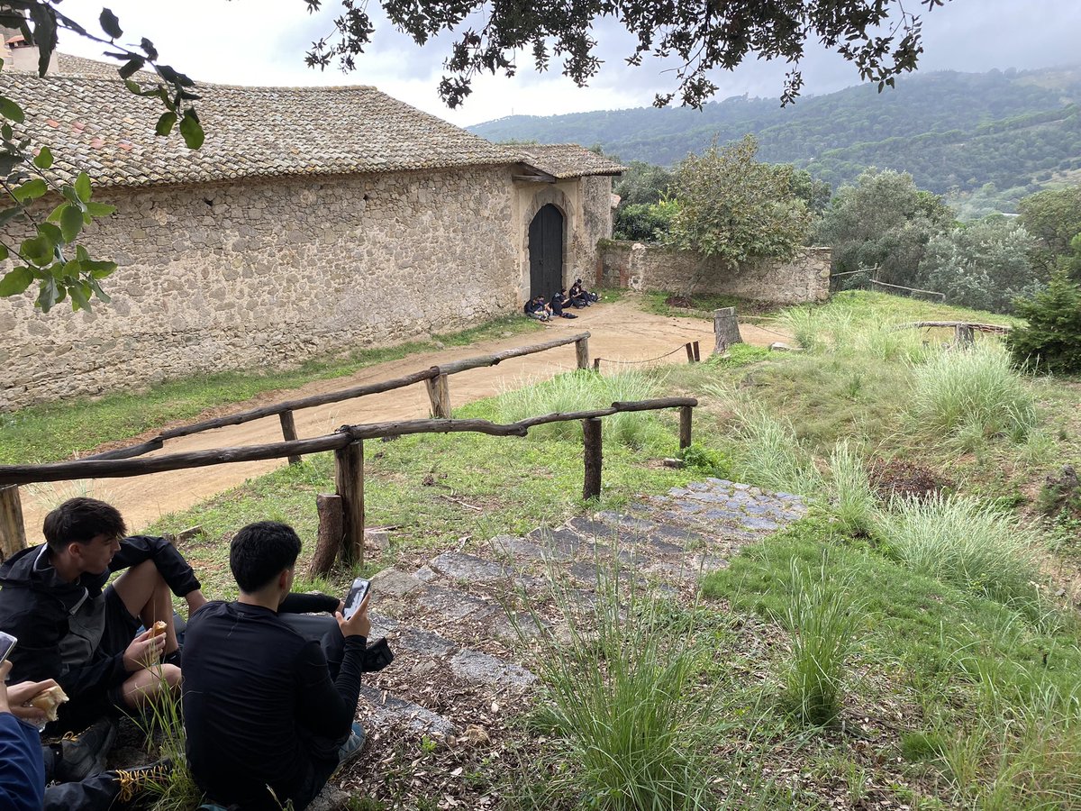 Pere Alzina tweet media