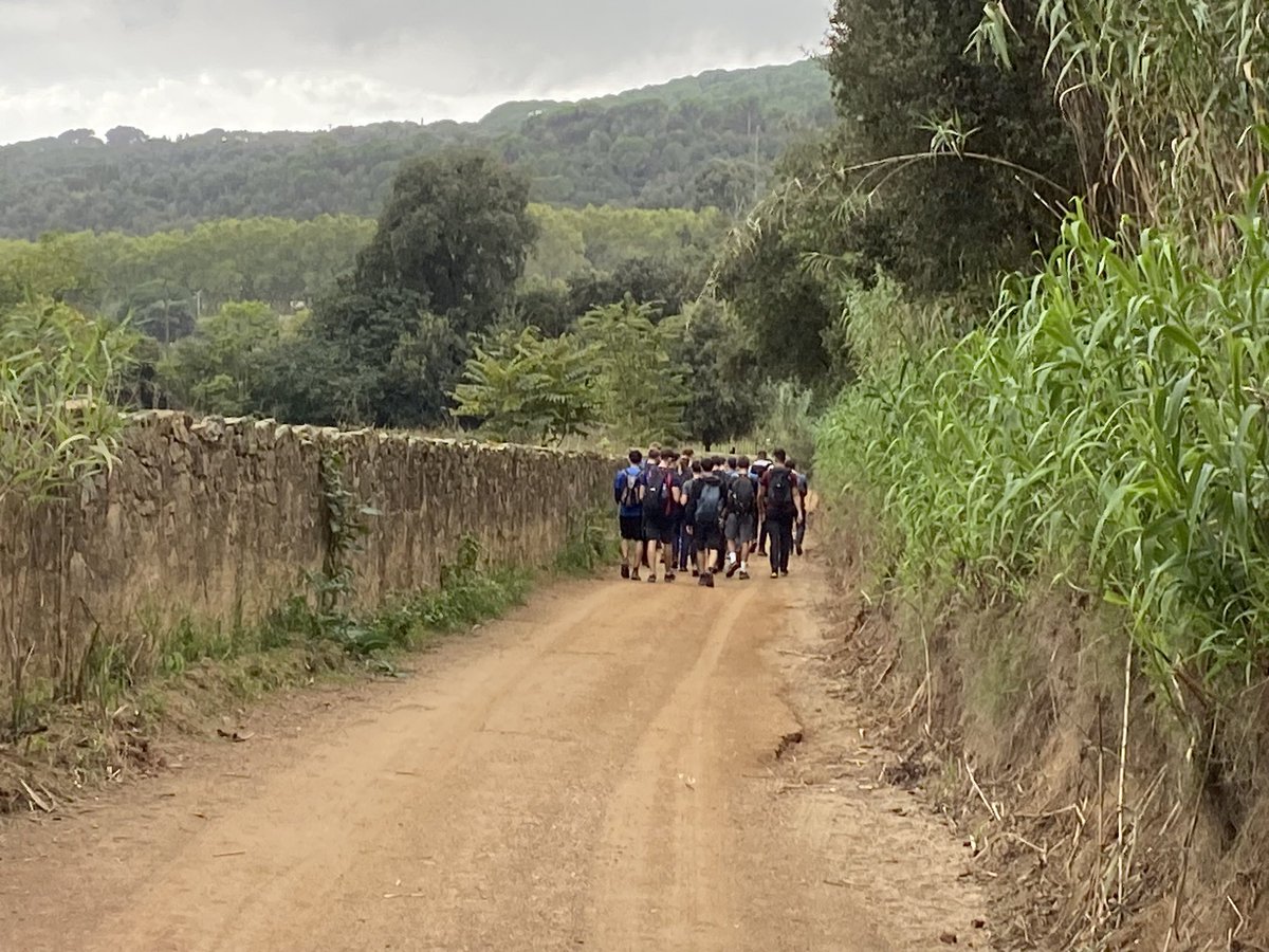 Pere Alzina tweet media