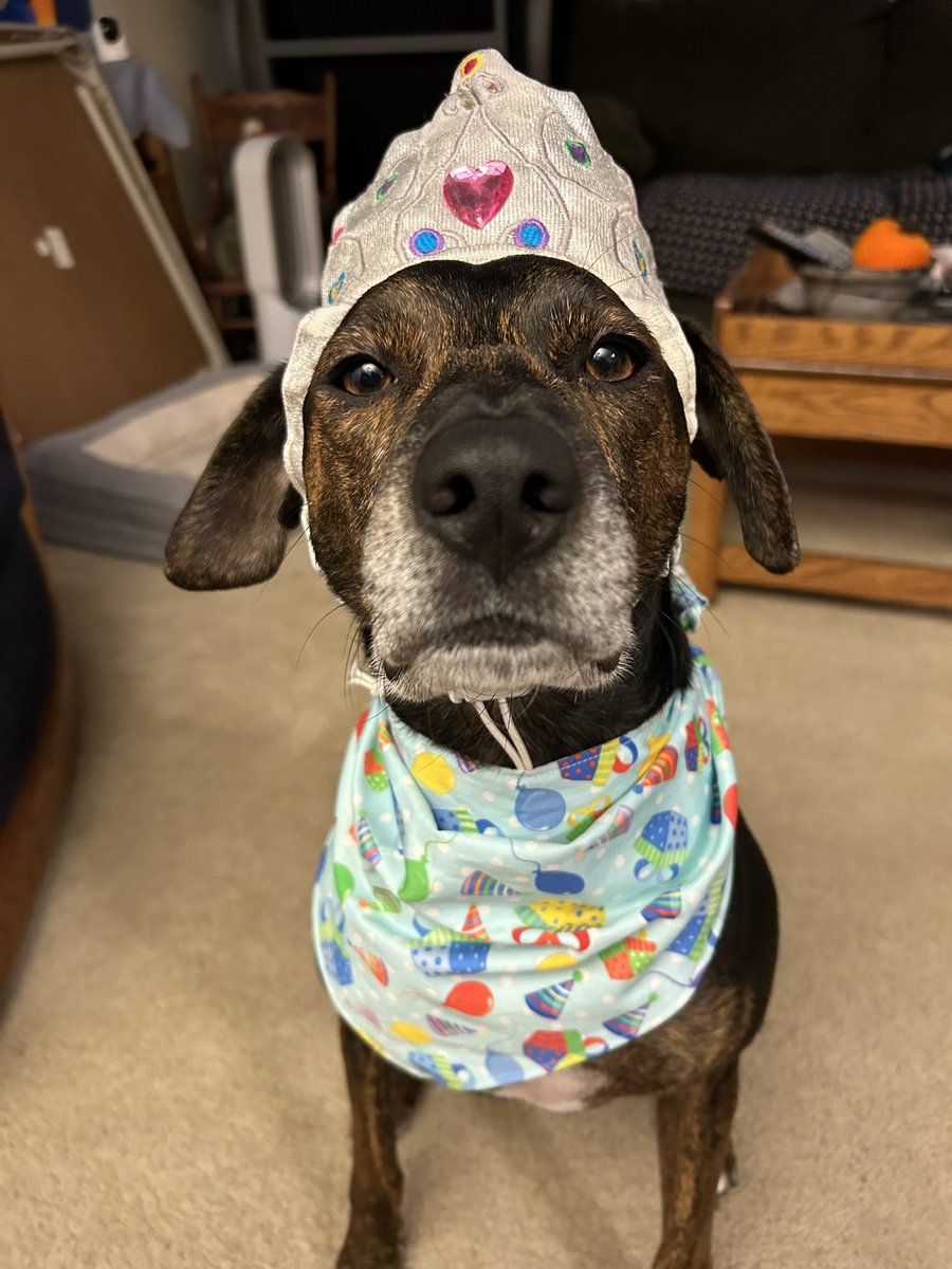 Lucky and Angel Zenith 🌈 tweet media