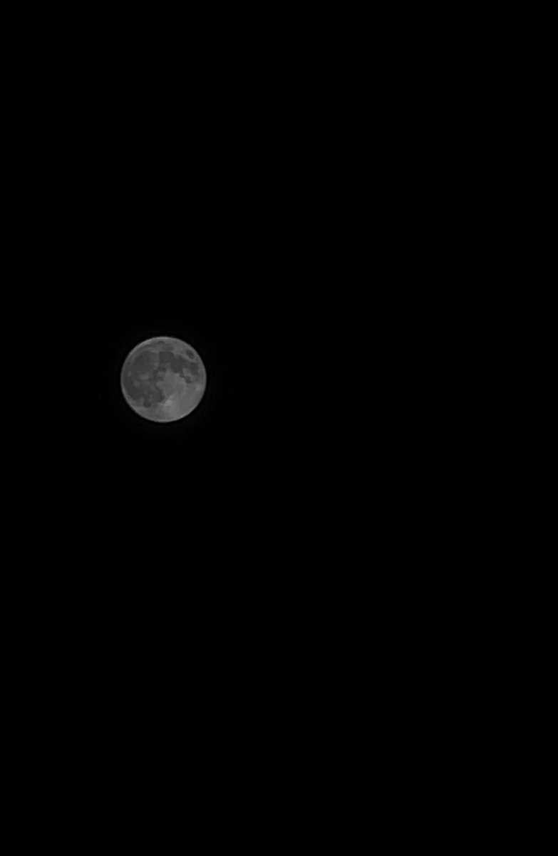 今日のスーパームーン🌕