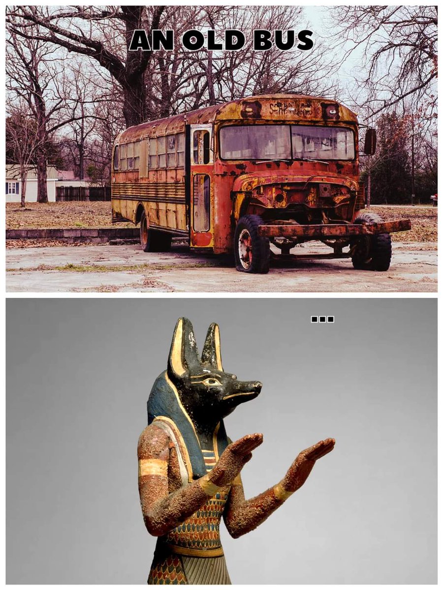 Classical Studies Memes tweet media