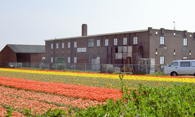 Stem op project 'Duurzaam behoud Bollenerfgoed' van Cultuurhistorisch Genootschap Duin- en Bollenstreek erfgoedhuis-zh.nl/erfgoedparel/e… #lisse #hillegom #sassenheim #bollenstreek #erfgoedparel2024