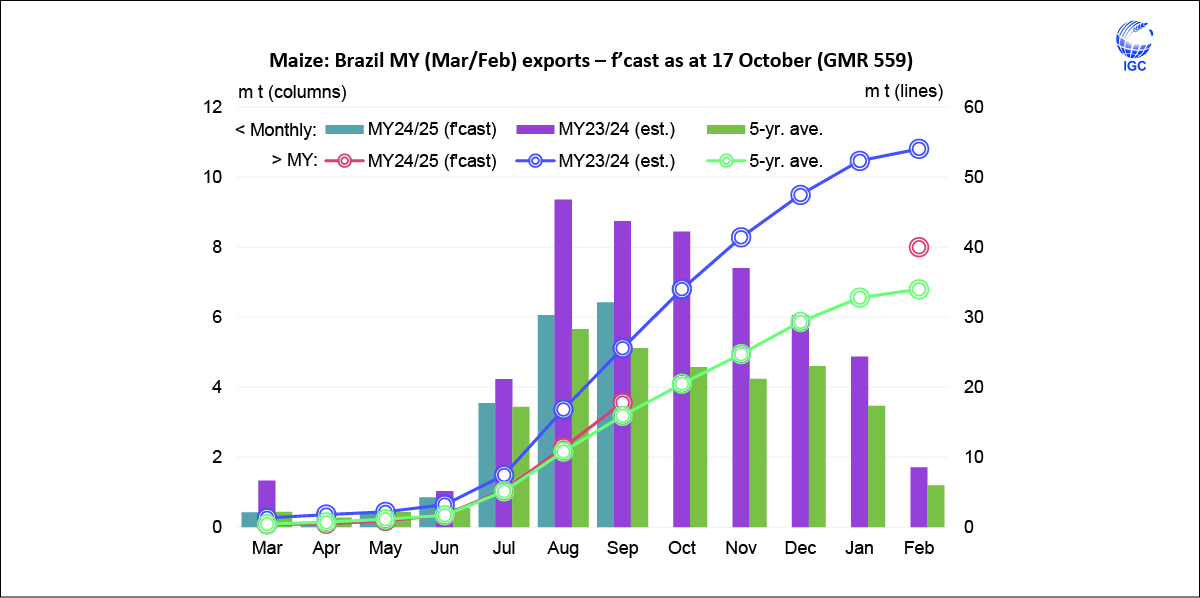 With #China a reluctant buyer, forecast 2024/25 #maize (#corn) #trade is expected to contract y/y. #Exports from #Brazil are predicted to decline, including a drop in #dispatches destined for China.