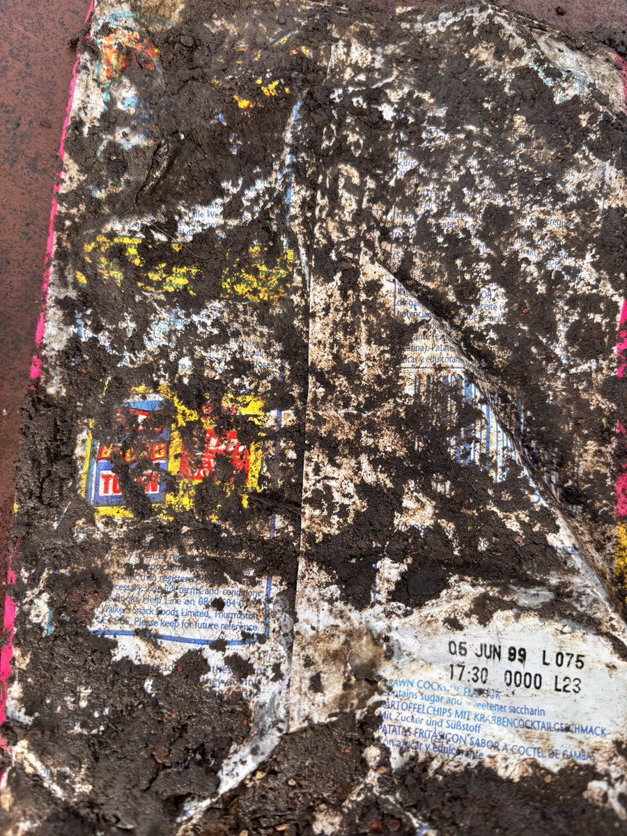 Anne-Louise Quinton tweet media