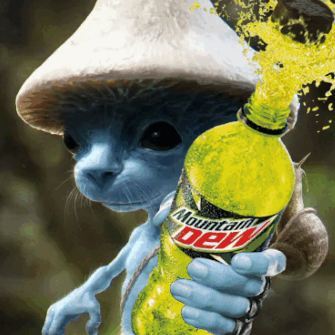 joot (meme/acc) tweet media