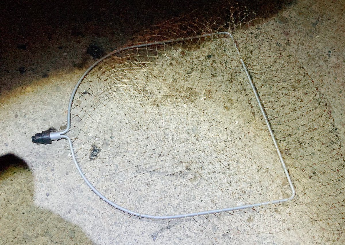 マメイカ2戦目、めちゃくちゃ渋くて最終的に37杯でした🦑マメイカ以外にデカいシャコやらフォロワーさんのタモやら下着やら色んなもの釣れました🙄