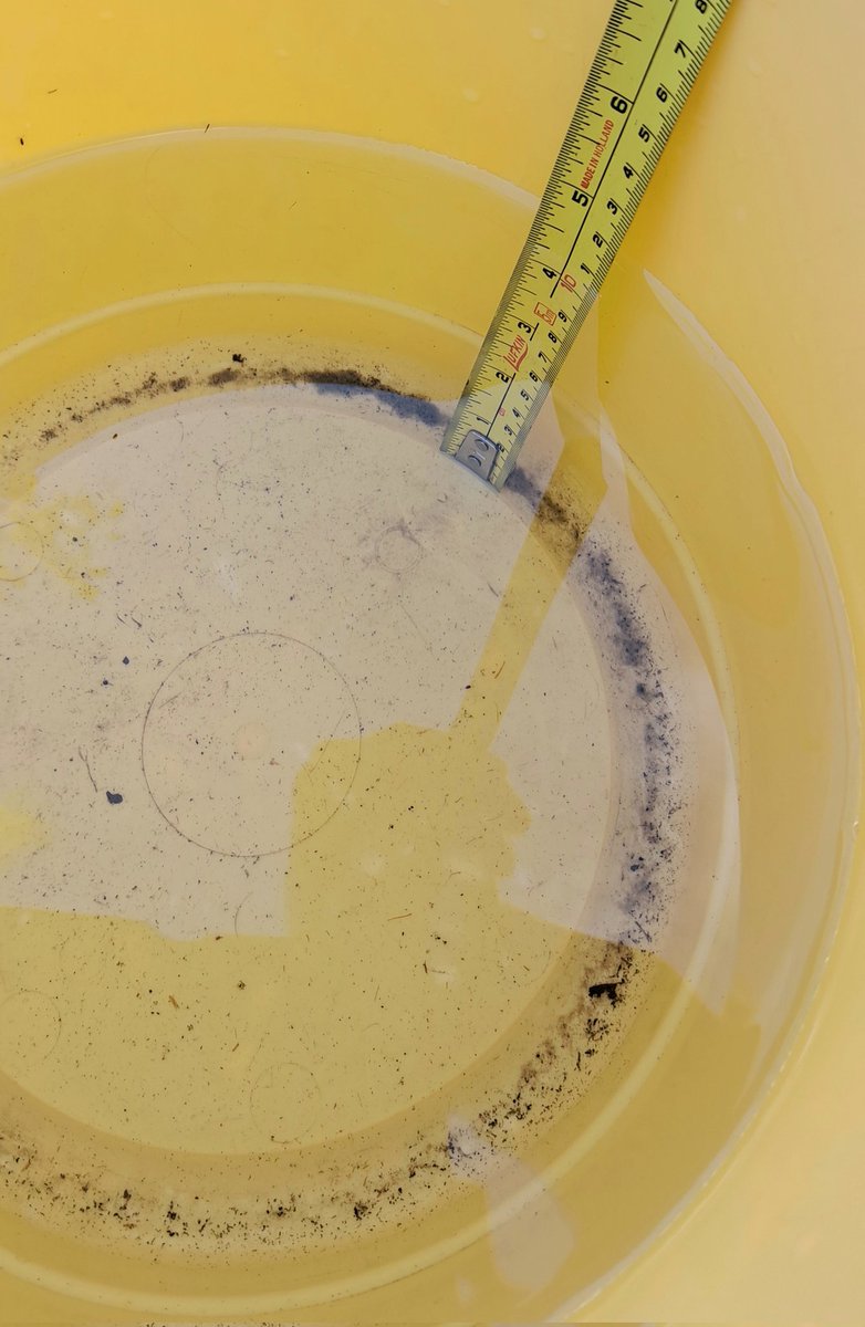 G N Smudge tweet media