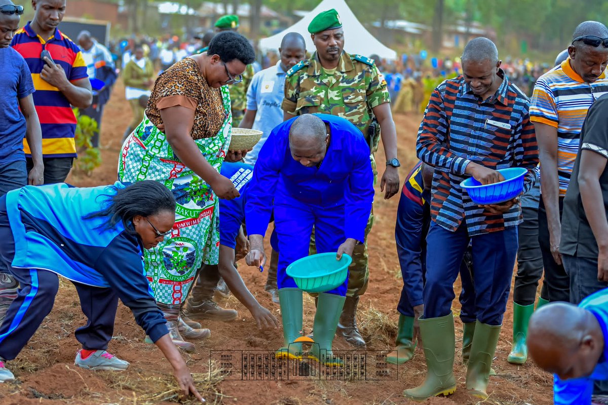 KwaNtare's tweet photo. #Burundi Nyenicubahiro @GeneralNeva, kuri uyu wa 4, yatanguje irima ry'agatasi. Hari mw'itongo rya Reta ritunganywa n'ikigo #IRAZ, riri ku musozi #Mashitsi, komine #Gitega i @Gitega. Imbuto zirobanuye z'ibigori zitwa Burakeye, isoya, n'ibiraya ni vyo bizoterwa kuri hegitari 68 https://t.co/YlLqwIZCbX