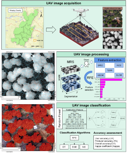 RemoteSens_MDPI's tweet photo. 🌲🌳🛩️ Extraction of Broad-Leaved #TreeCrown Based on #UAV Visible Images and #OBIA-#RF Model: A Case Study for Chinese #OliveTrees
✍️ Kaile Yang et al.
📎 https://t.co/ZOnIaDnFAN https://t.co/8NMWiguXzb